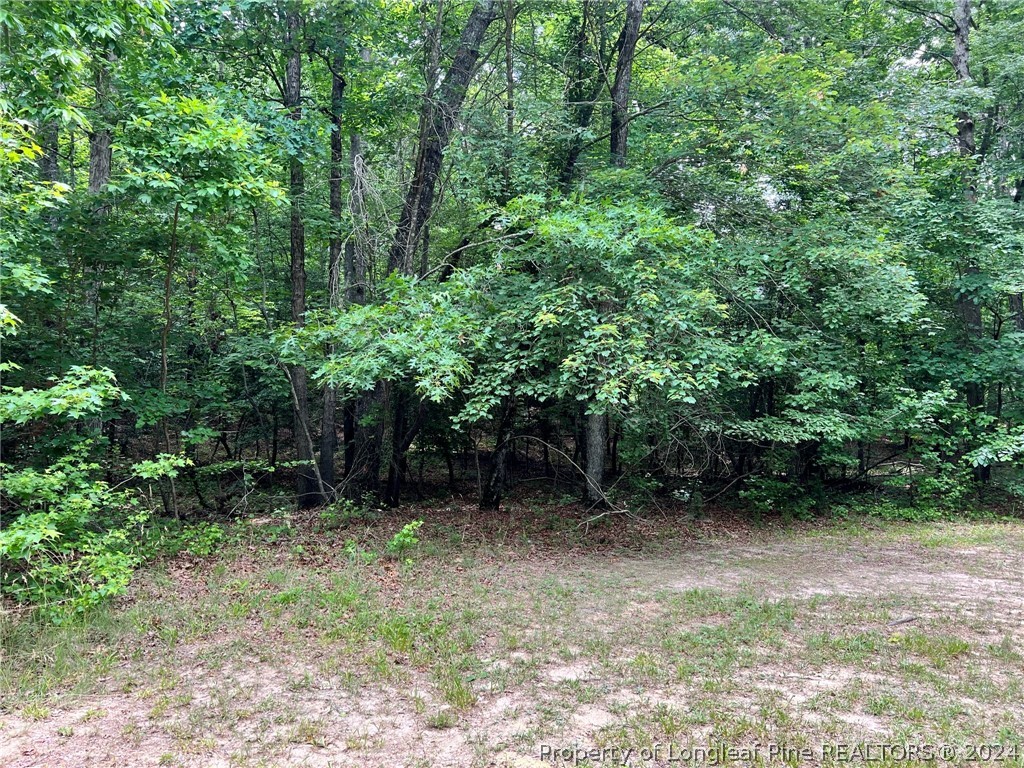 170 Filly Run Lane Carthage, NC 28327 - Photo 5 of 15 Gallery Image 5