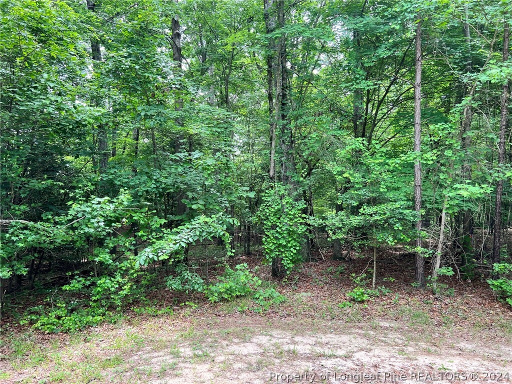 170 Filly Run Lane Carthage, NC 28327 - Photo 7 of 15 Gallery Image 7