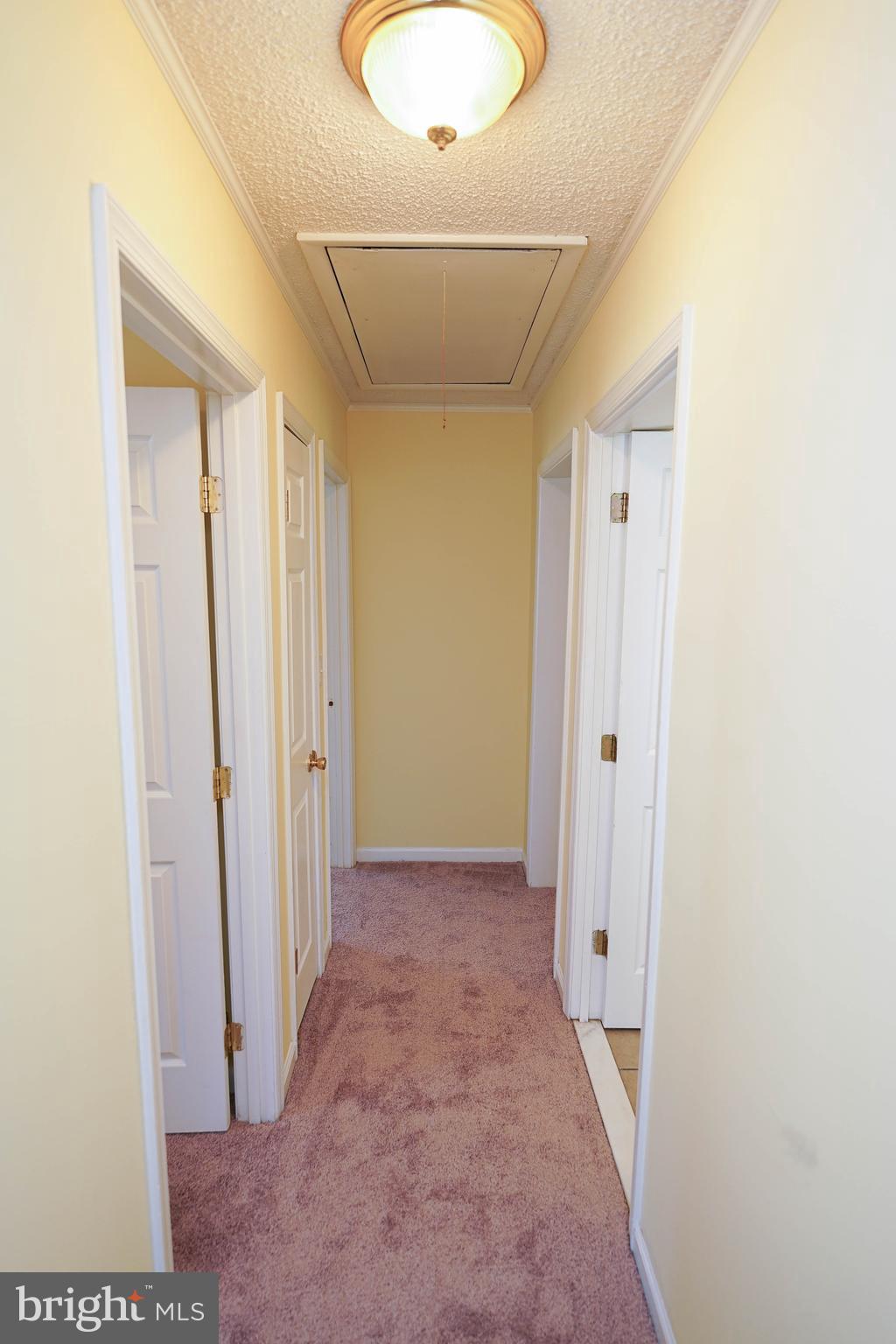 120 Ridgefield Lane Fruitland, MD 21826 - Photo 14 of 31 fresh paint throughout