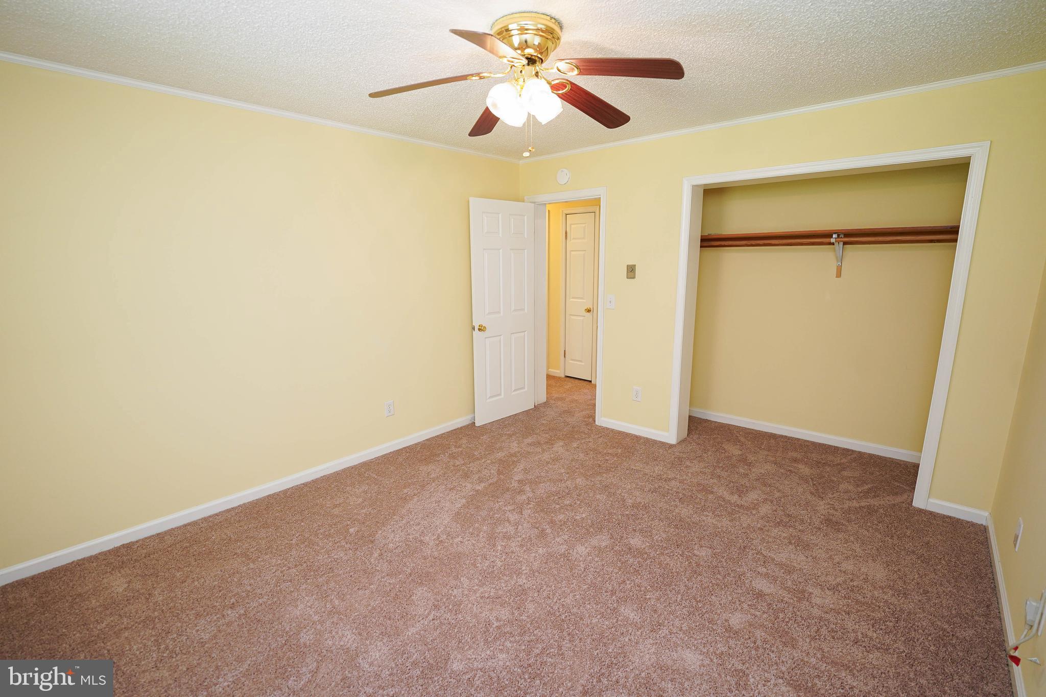 120 Ridgefield Lane Fruitland, MD 21826 - Photo 17 of 31 new carpet, fresh paint in Living room + bedrooms