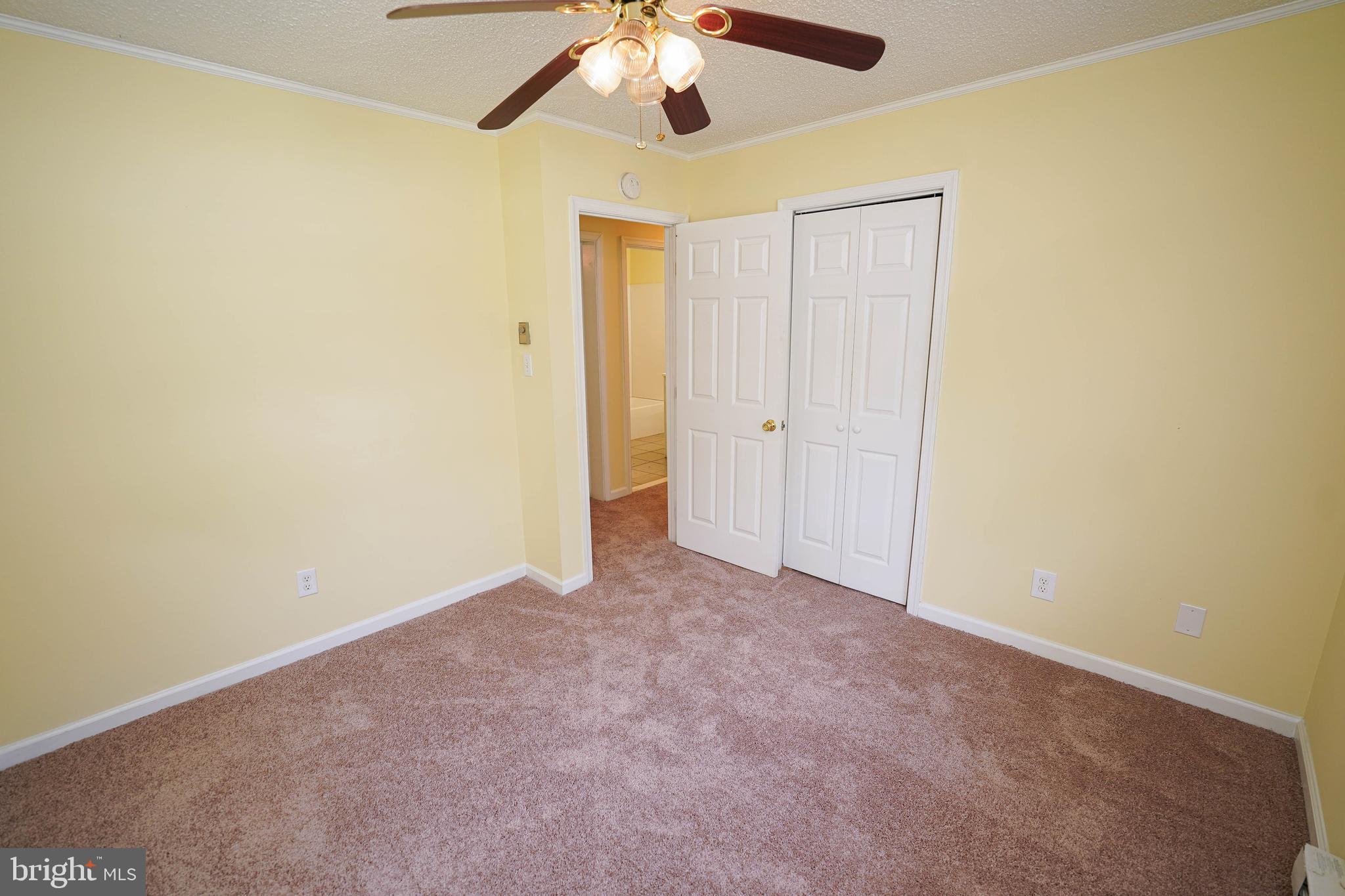 120 Ridgefield Lane Fruitland, MD 21826 - Photo 21 of 31 new carpet, fresh paint in Living room + bedrooms