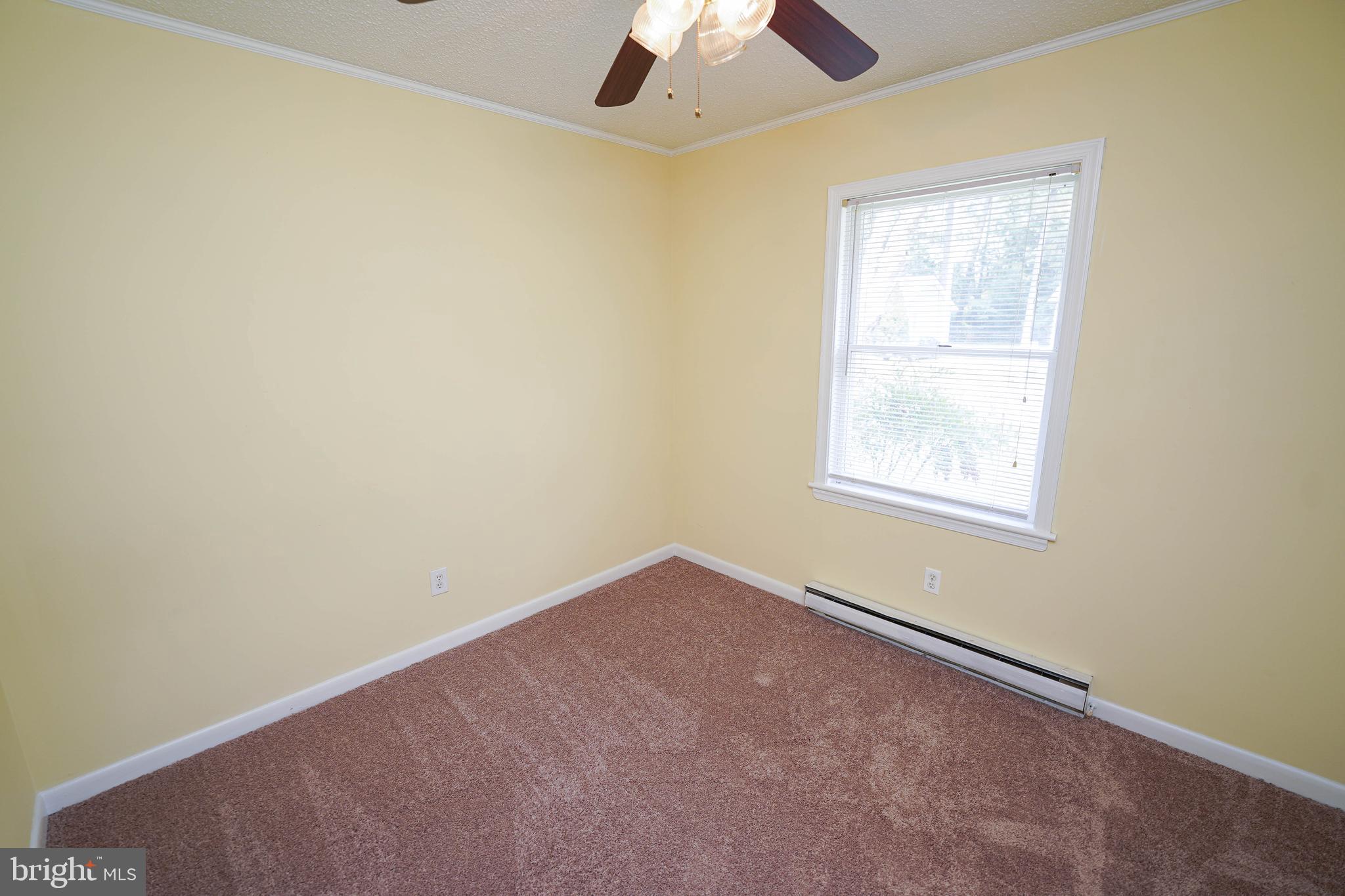 120 Ridgefield Lane Fruitland, MD 21826 - Photo 26 of 31 new carpet, fresh paint in Living room + bedrooms