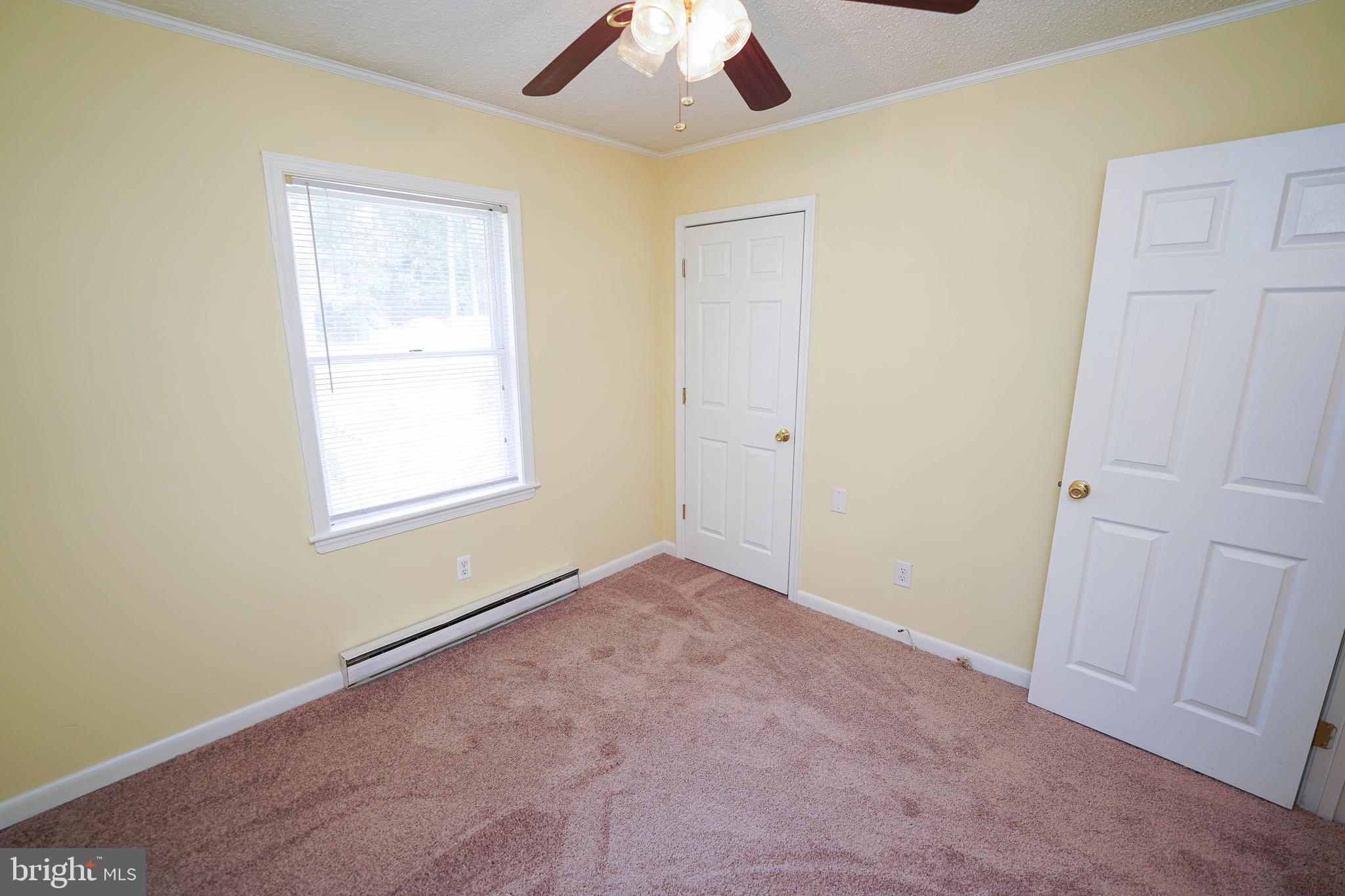 120 Ridgefield Lane Fruitland, MD 21826 - Photo 27 of 31 new carpet, fresh paint in Living room + bedrooms