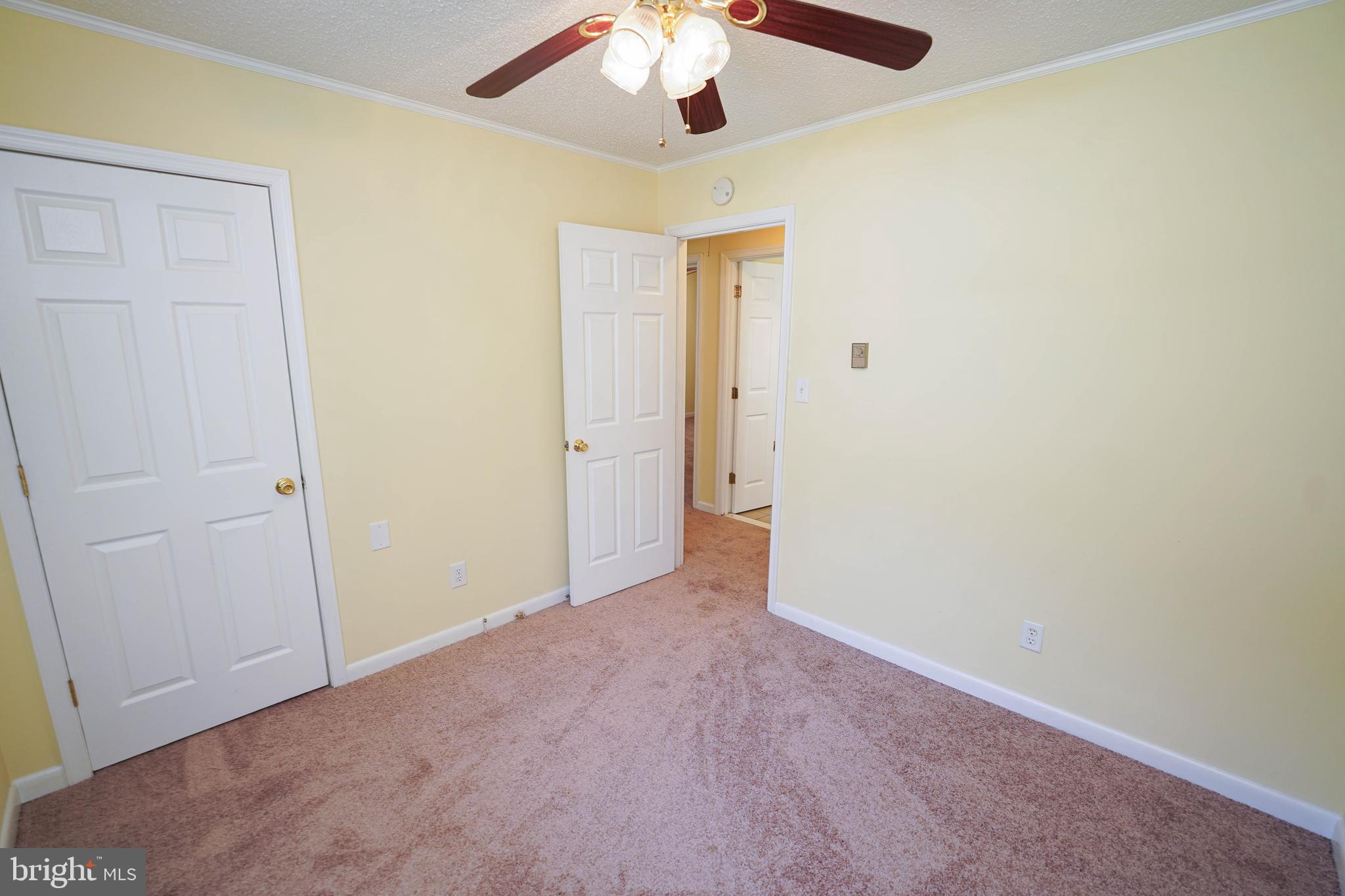 120 Ridgefield Lane Fruitland, MD 21826 - Photo 28 of 31 new carpet, fresh paint in Living room + bedrooms