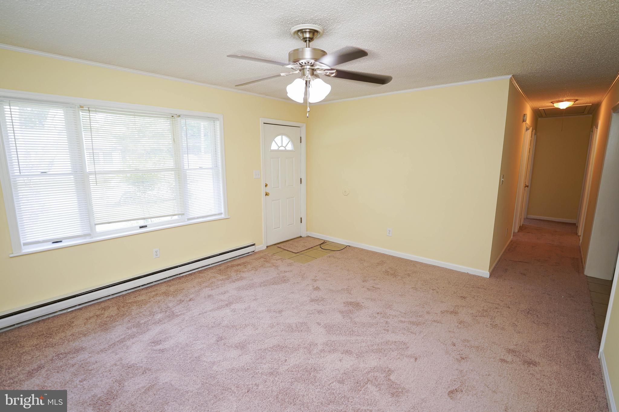120 Ridgefield Lane Fruitland, MD 21826 - Photo 5 of 31 new carpet, fresh paint in Living room + bedrooms