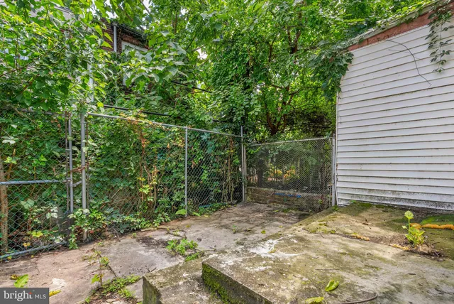 a view of a yard with plants and wooden fence