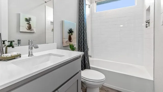 a view of a livingroom with furniture and a potted plant