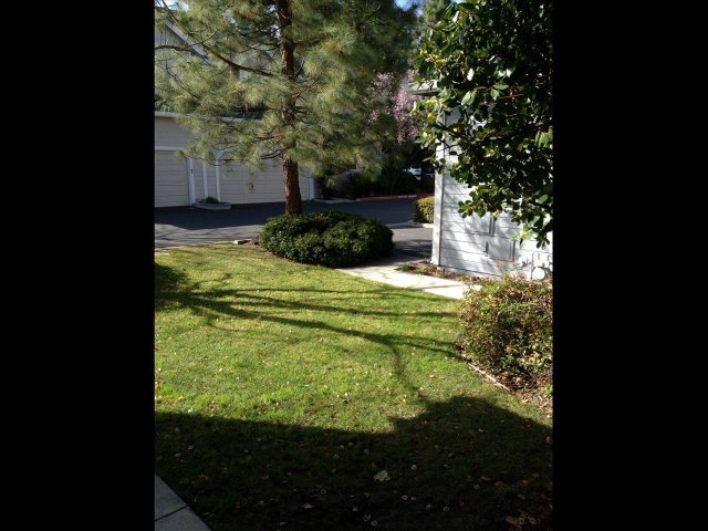 150 Redding Road Campbell, CA 95008 - Photo 3 of 18 a view of an outdoor space of a house