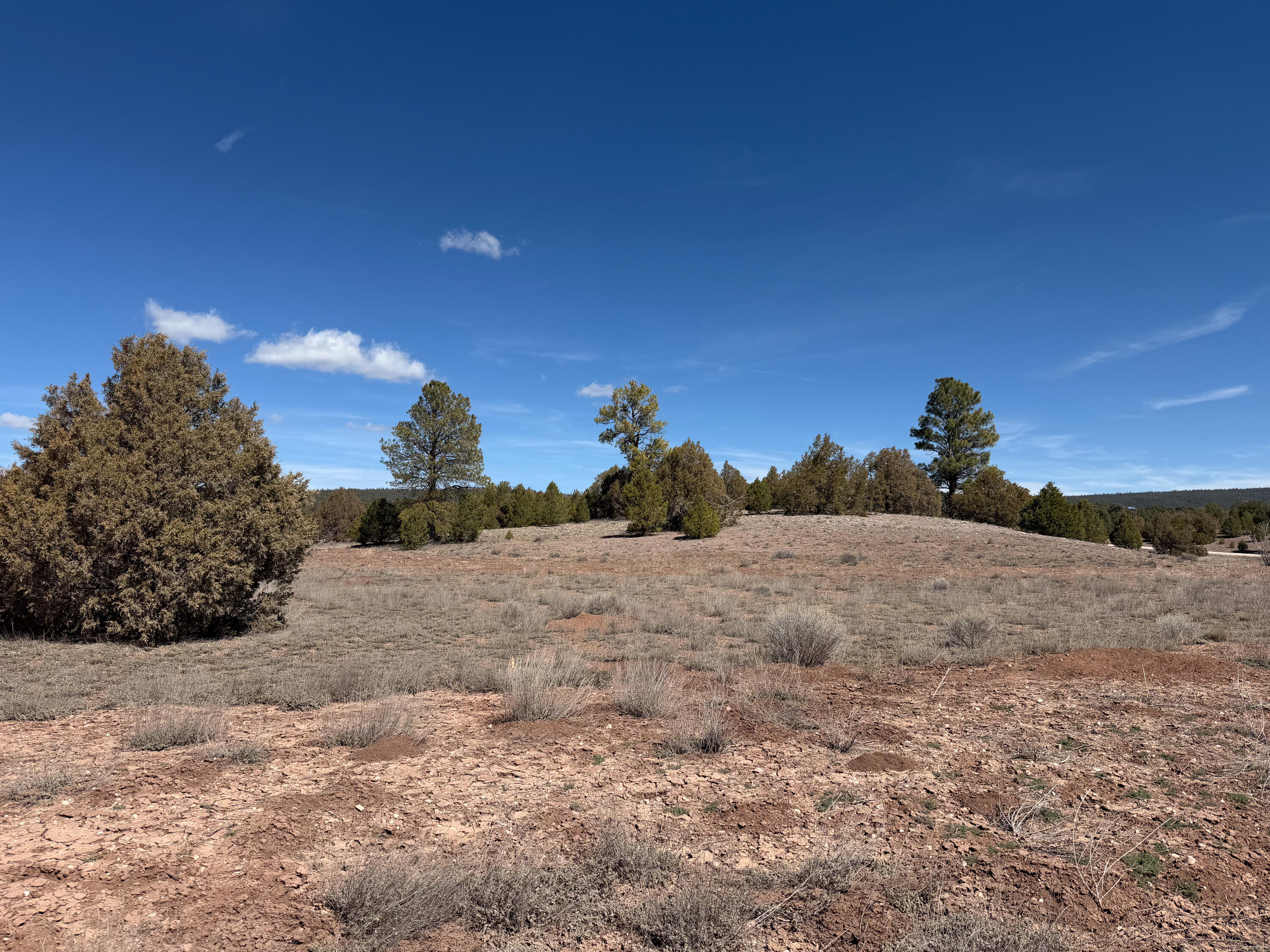 700 Timberlake Road Ramah, NM 87321 - Photo 78 of 78 Gallery Image 78