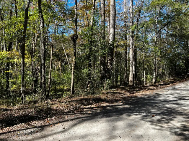 $160,000 | 0 Branch Road, Moncks Corner, SC 29461