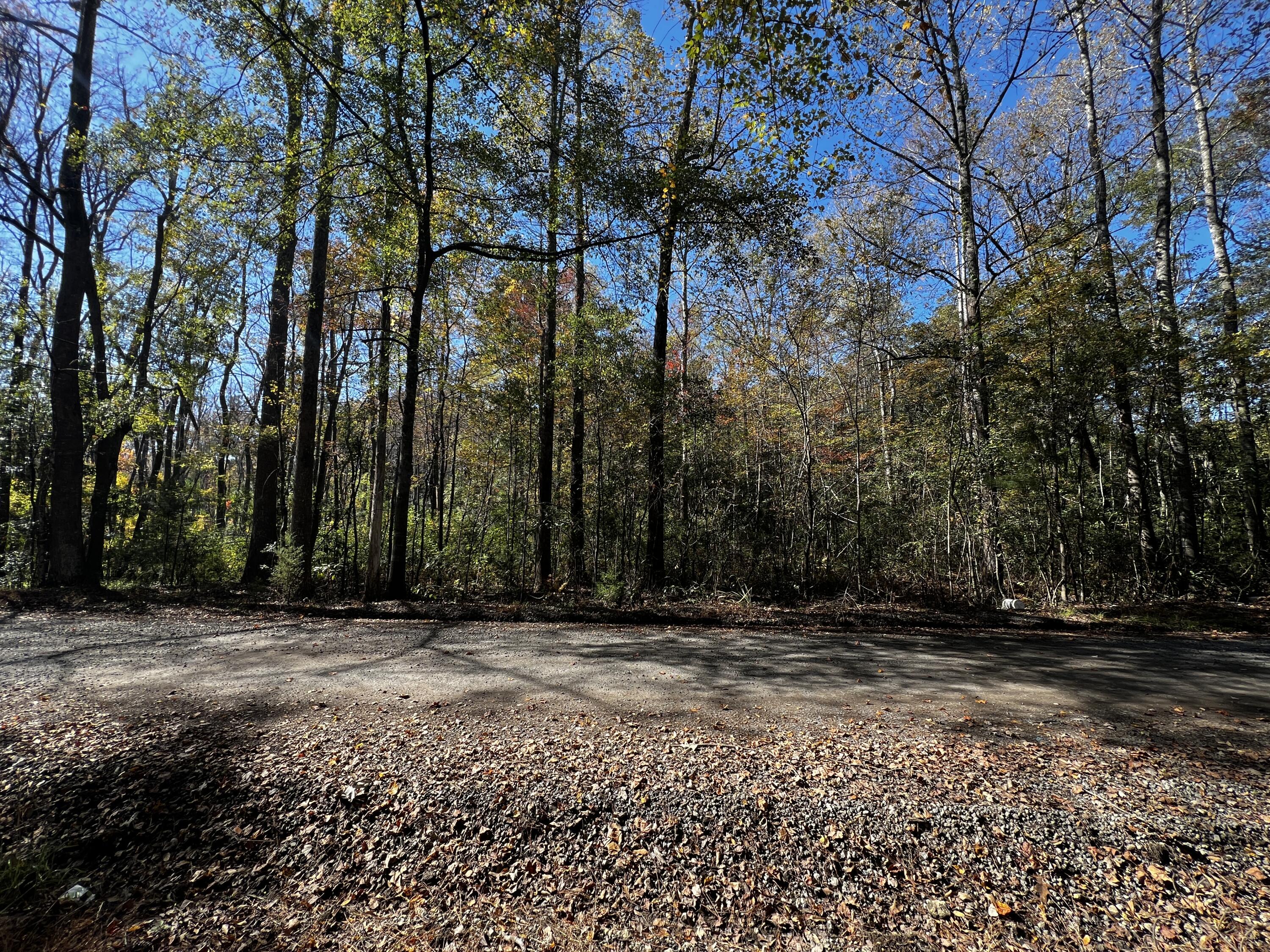 0 Branch Road Moncks Corner, SC 29461 - Photo 4 of 4 IMG_5699