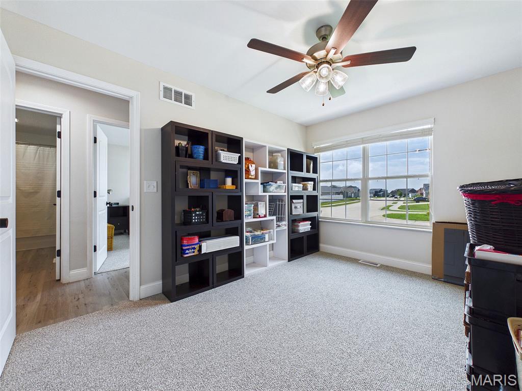309 Maldon Way Shiloh, IL 62221 - Photo 22 of 33 Gallery Image 22