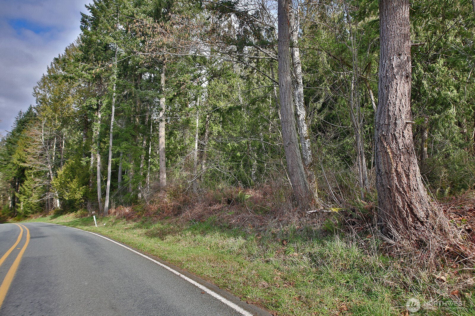 -xxx Xxx Scatchet Head Road Clinton, WA 98236 - Photo 15 of 34 a view of a forest with trees
