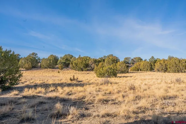 $85,000 | 24 Hatchet Ranch, Pueblo, CO 81004