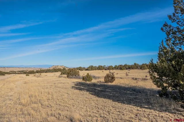 $85,000 | 24 Hatchet Ranch, Pueblo, CO 81004