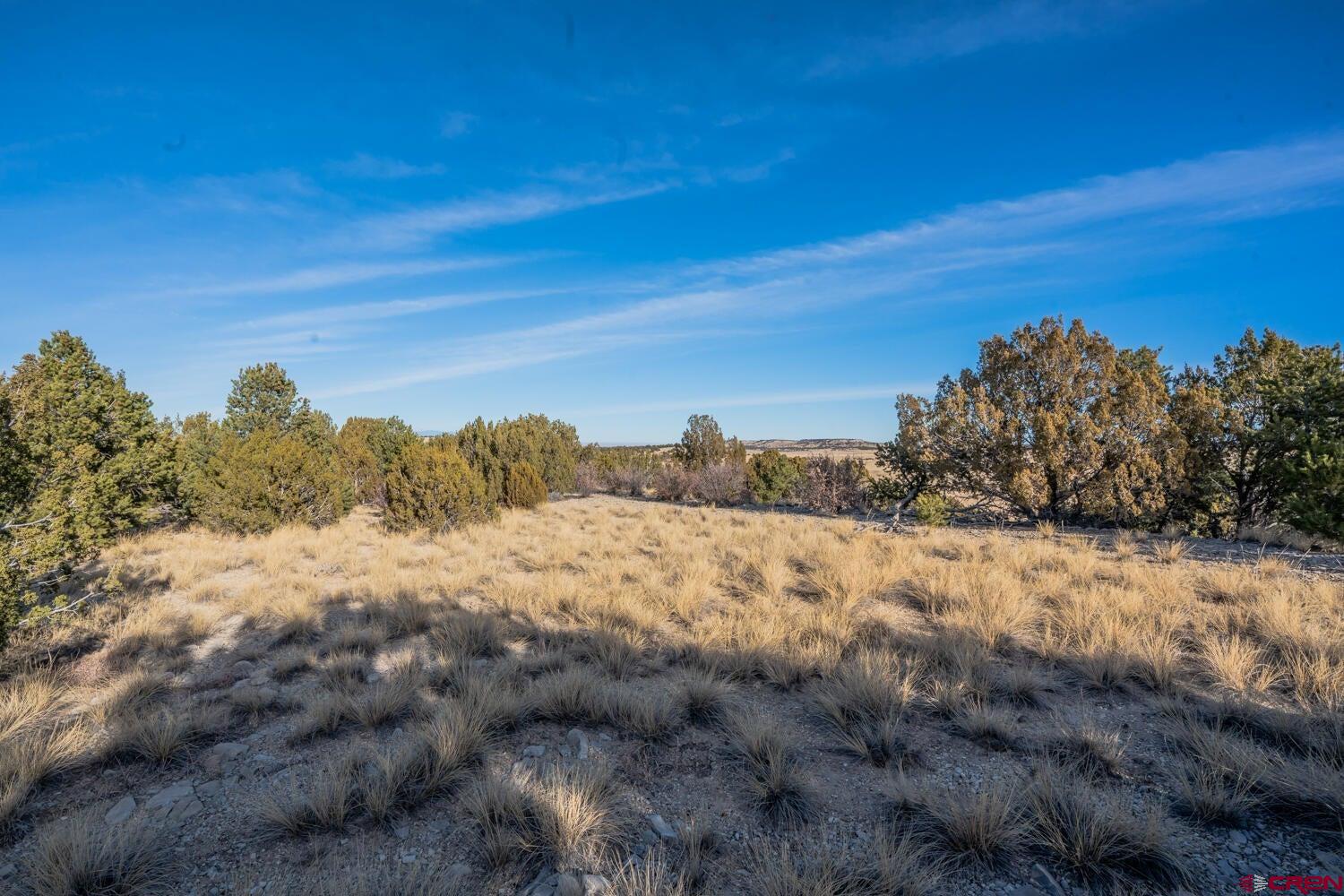 24 Hatchet Ranch Pueblo, CO 81004 - Photo 7 of 33 a view of a dry yard