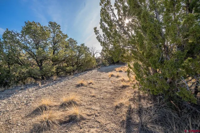 $85,000 | 24 Hatchet Ranch, Pueblo, CO 81004