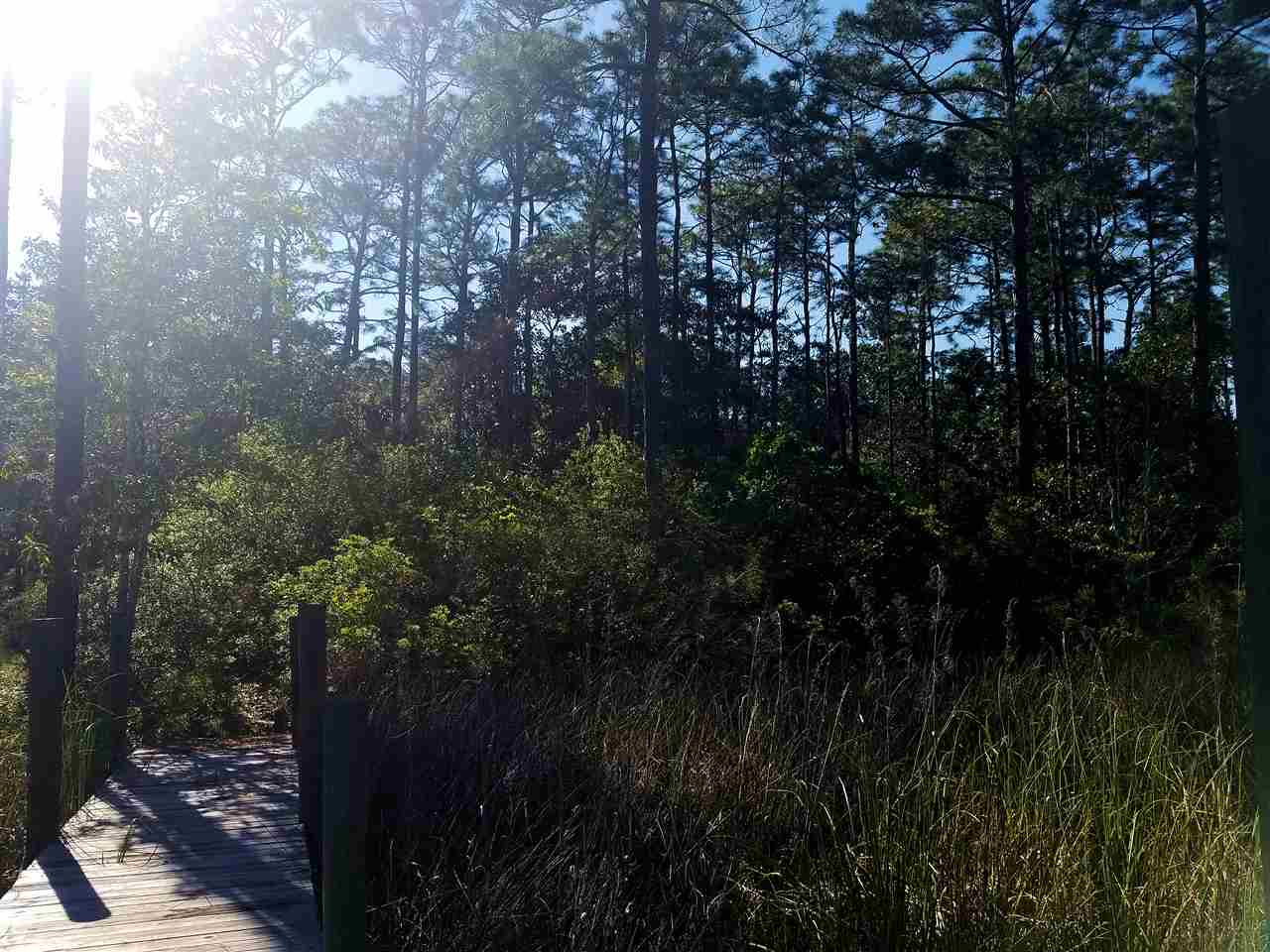 0 Neumann Drive Elberta, AL 36530 - Photo 3 of 4