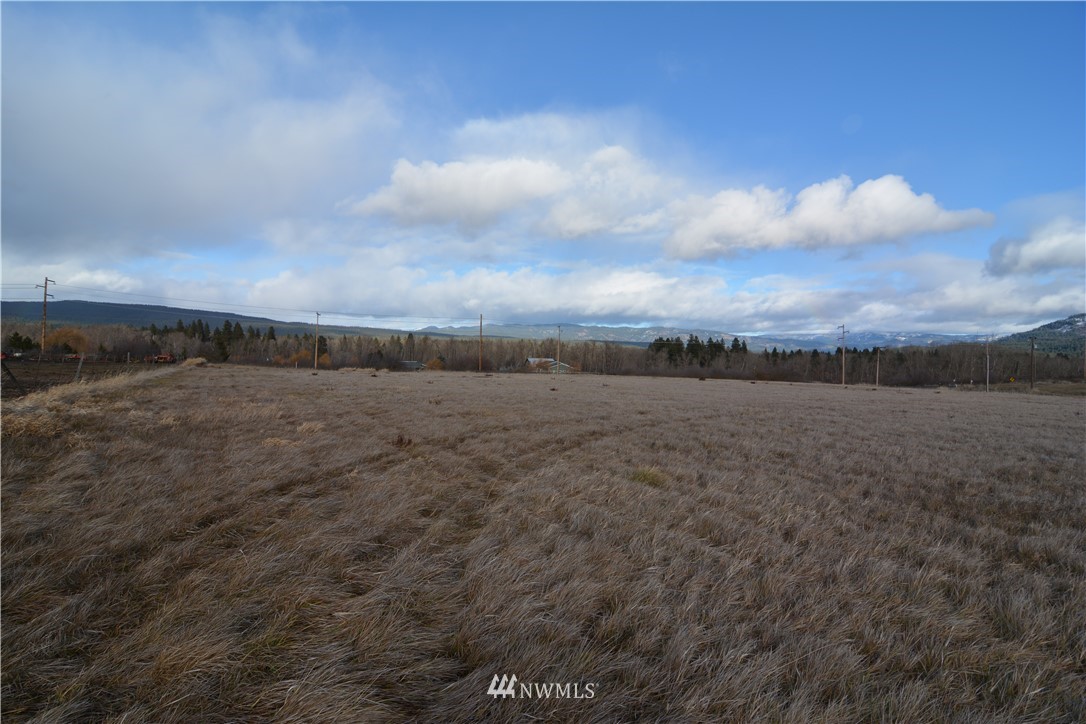 1 Lot Road Cle Elum, WA 98922 - Photo 3 of 7 Gallery Image 3