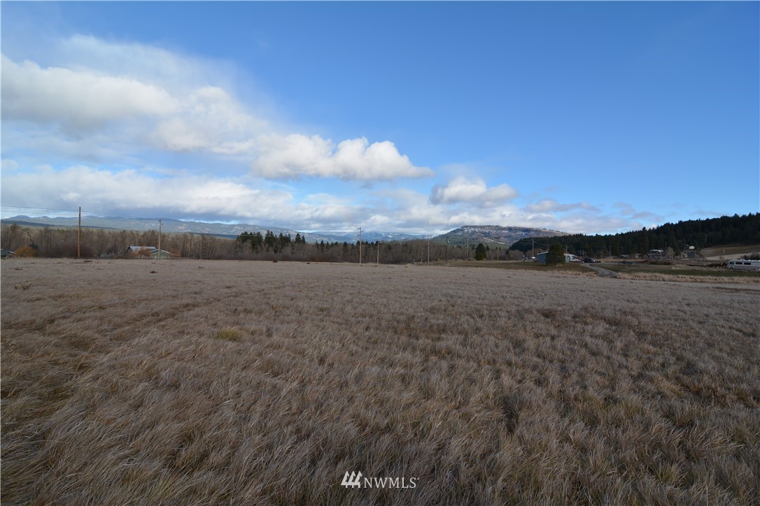 1 Lot Road Cle Elum, WA 98922 - Photo 4 of 7 Gallery Image 4