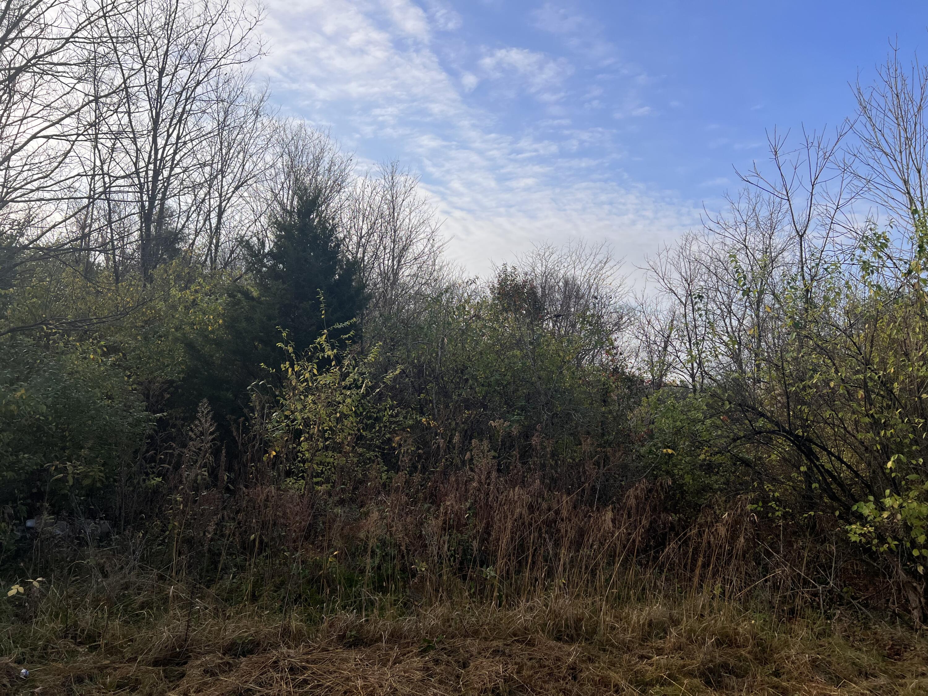 Tract A Kissing Ridge Road Nicholasville, KY 40356 - Photo 4 of 5 photos5
