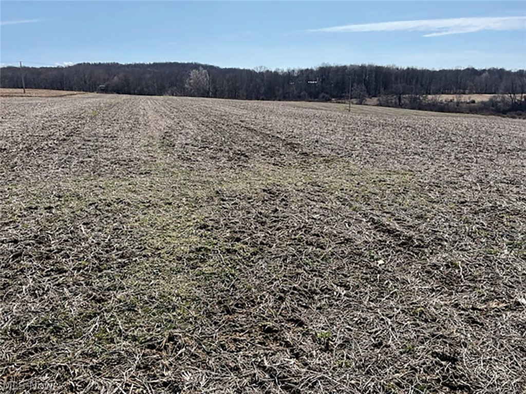East Oil Creek Road Cochranton, PA 16314 - Photo 2 of 5 Gallery Image 2