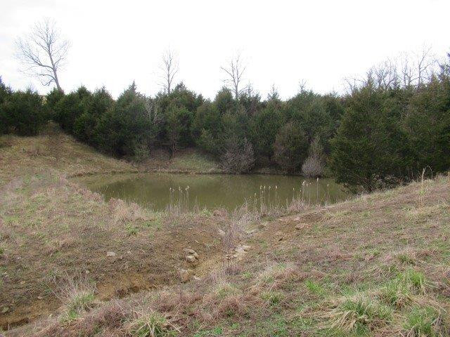 1234 Hyatt Road Lawrenceburg, KY 40342 - Photo 28 of 29 Photo 28
