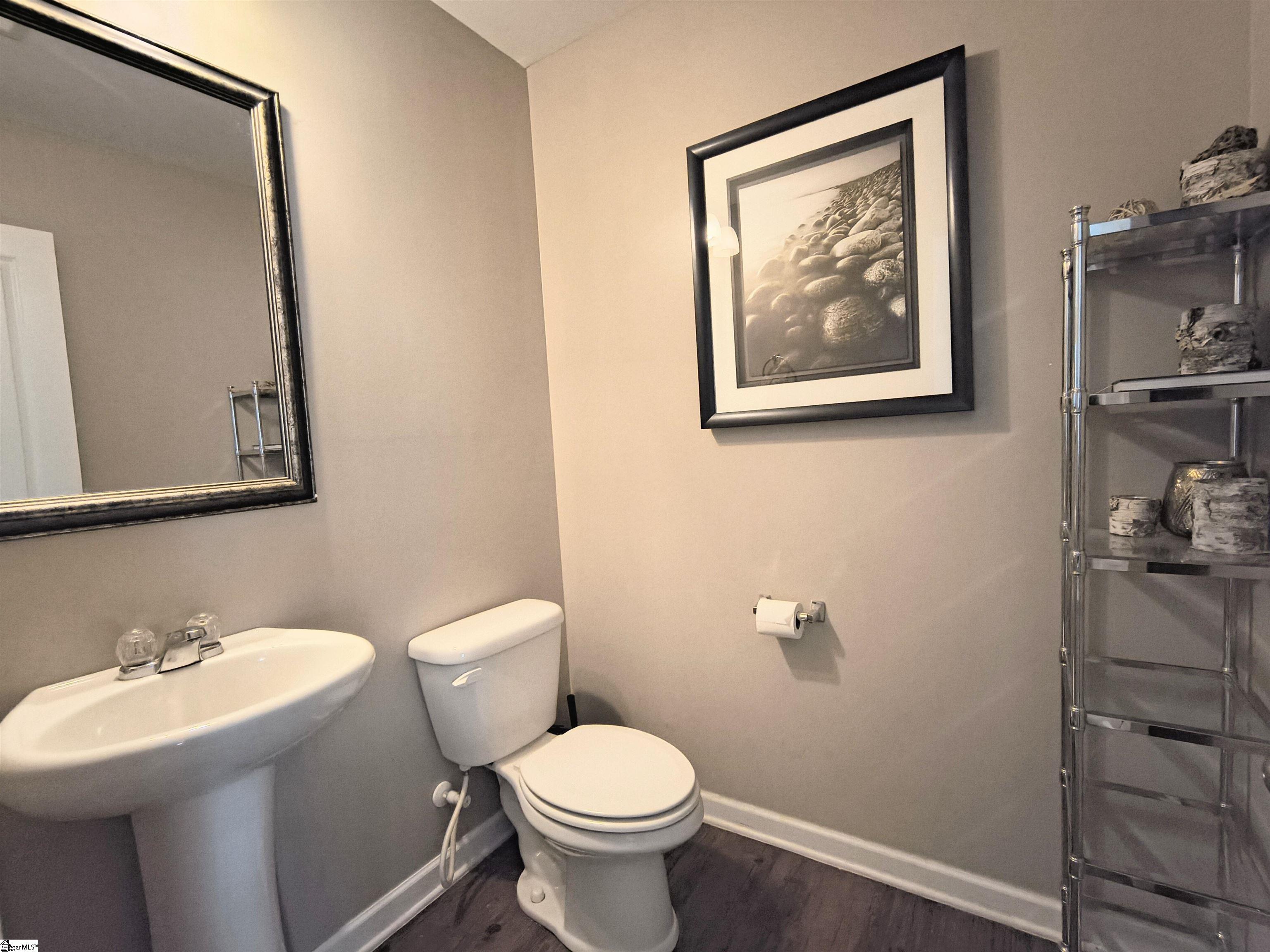 113 Prairie Wolf Run Duncan, SC 29334 - Photo 20 of 42