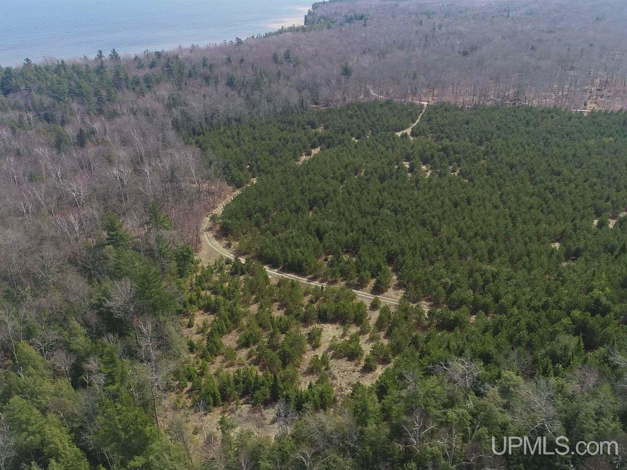 40-acres Gierke Road Manistique, MI 49854 - Photo 20 of 39