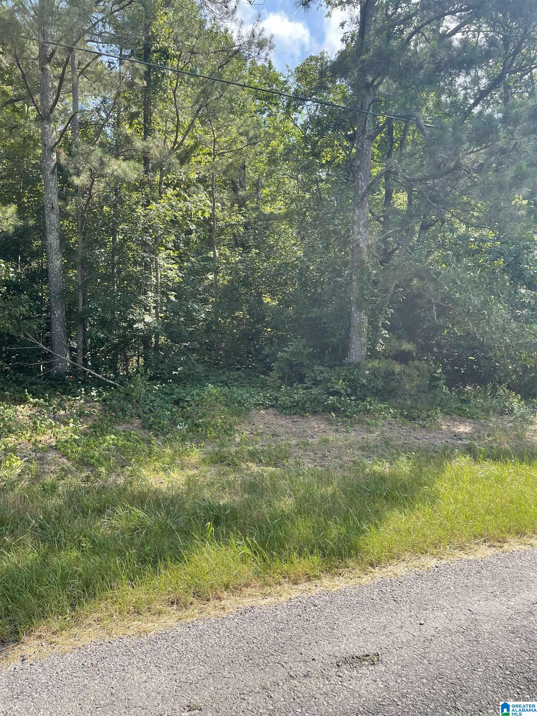 0 Little Road Blountsville, AL 35031 - Photo 1 of 2