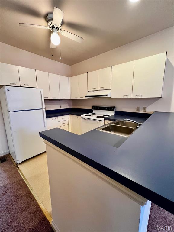 2304 South 10th Street, Unit R St. Louis, MO 63104 - Photo 6 of 21