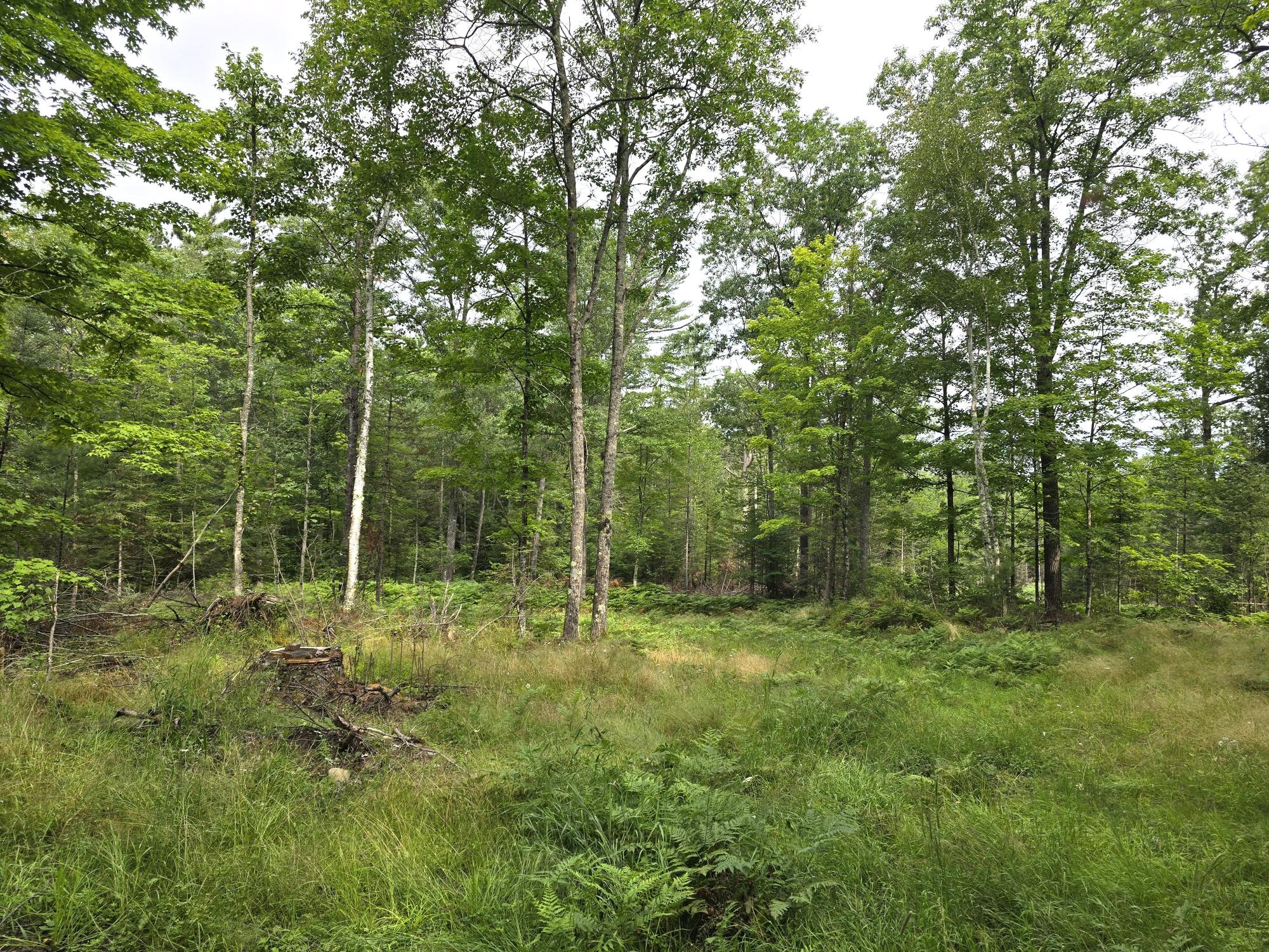 On Dam Road Eagle River, WI 54521 - Photo 26 of 86 Gallery Image 26