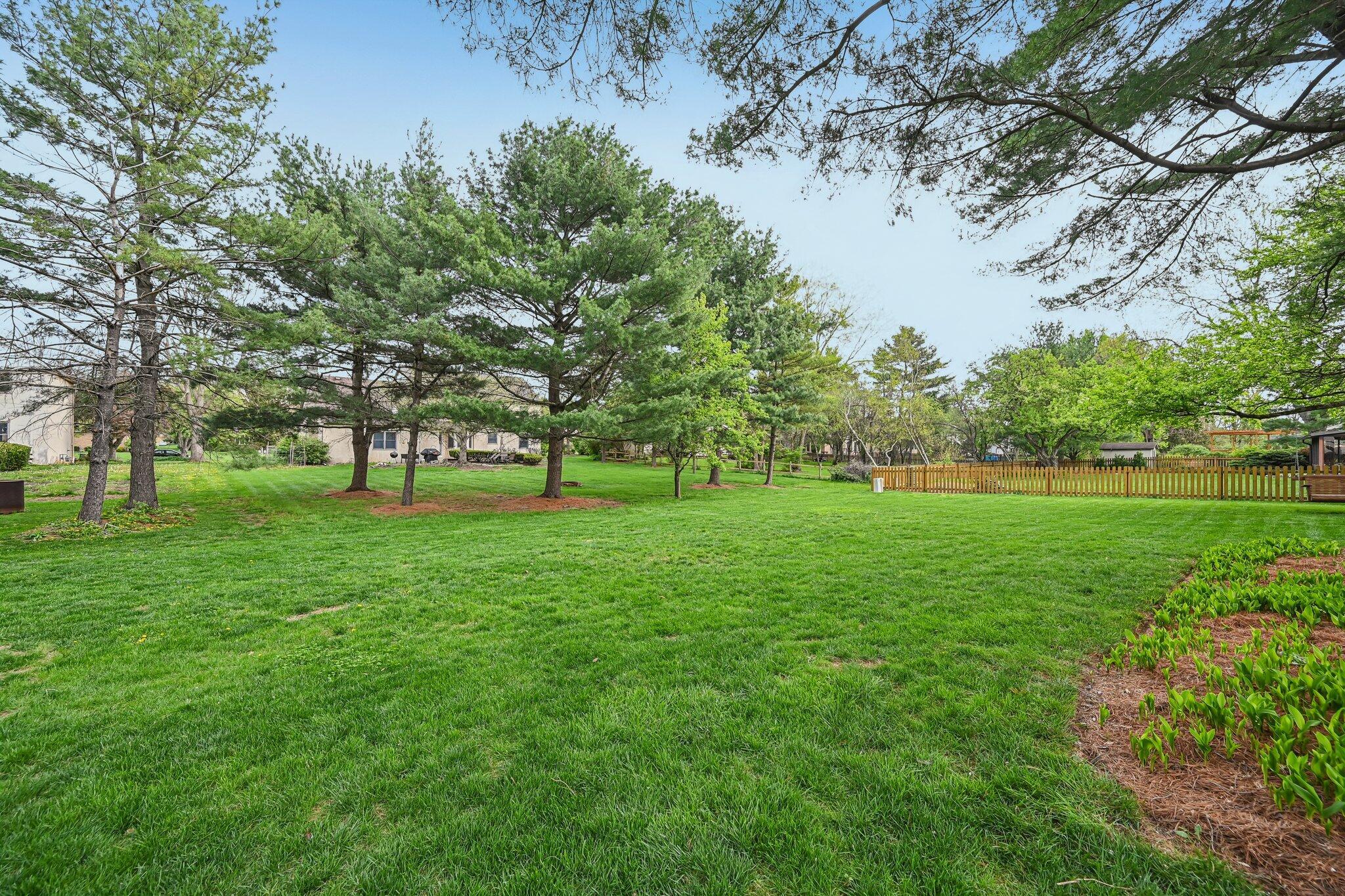 12324 Raintree Avenue Pickerington, OH 43147 - Photo 47 of 55 Rear Yard