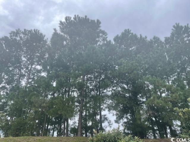 Tbd Della Road Longs, SC 29568 - Photo 1 of 3