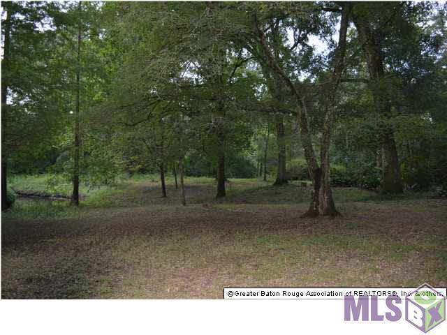 18482 Broussard Road Prairieville, LA 70769 - Photo 14 of 15 Gallery Image 14