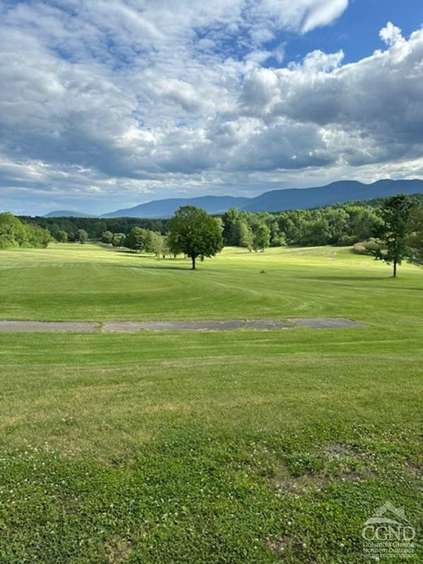 124 Plattekill Road Greenville, NY 12083 - Photo 10 of 14 a view of an ocean and beach