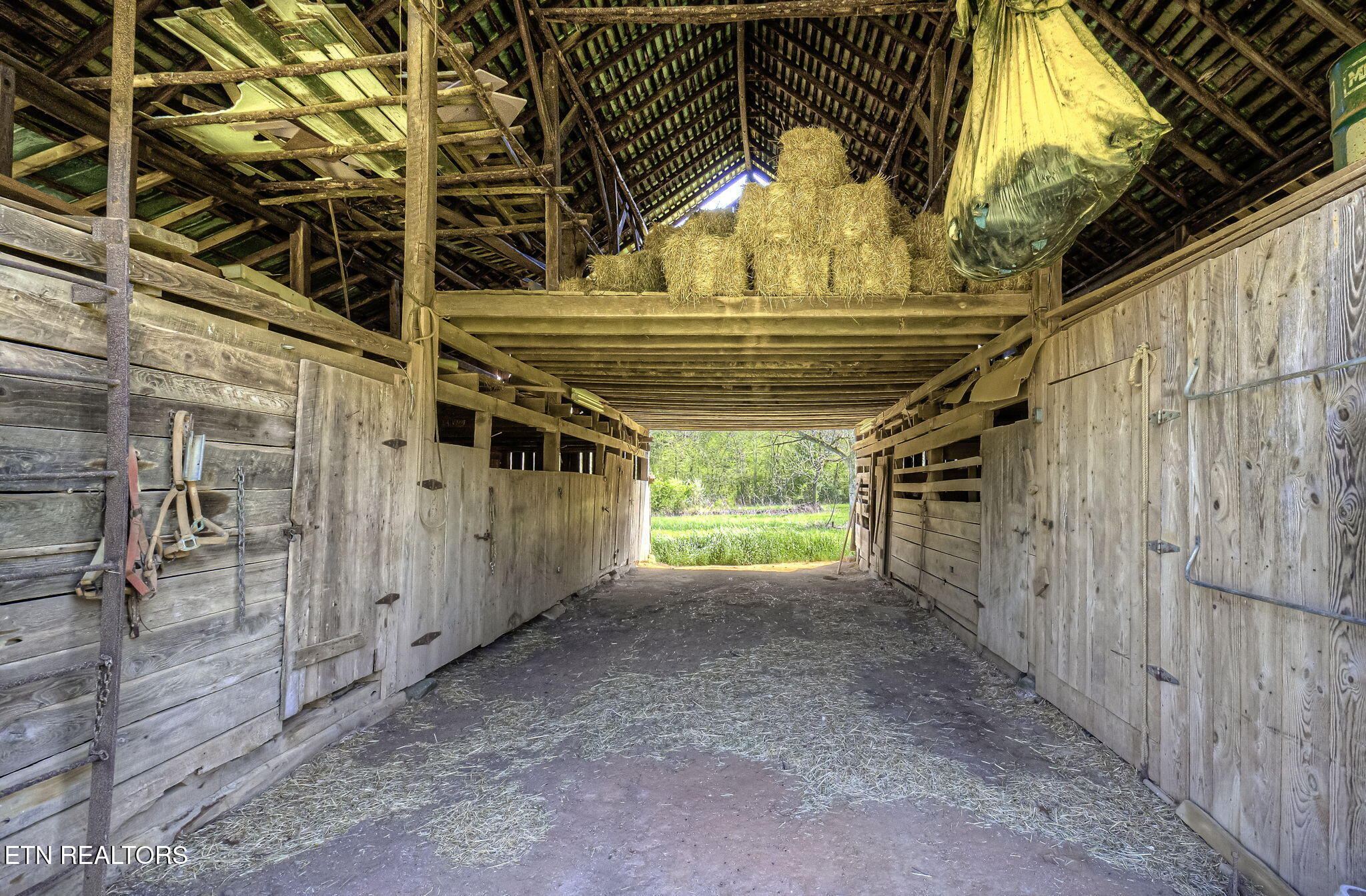 285 New Providence Road Tellico Plains, TN 37385 - Photo 26 of 45 IMG_4521