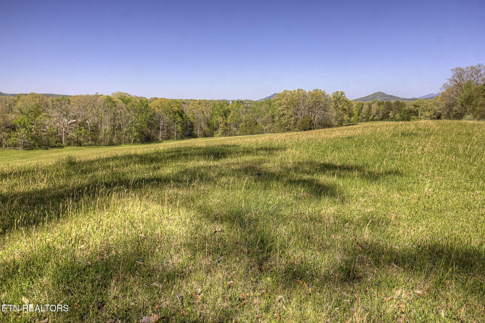 285 New Providence Road Tellico Plains, TN 37385 - Photo 29 of 45 IMG_4614