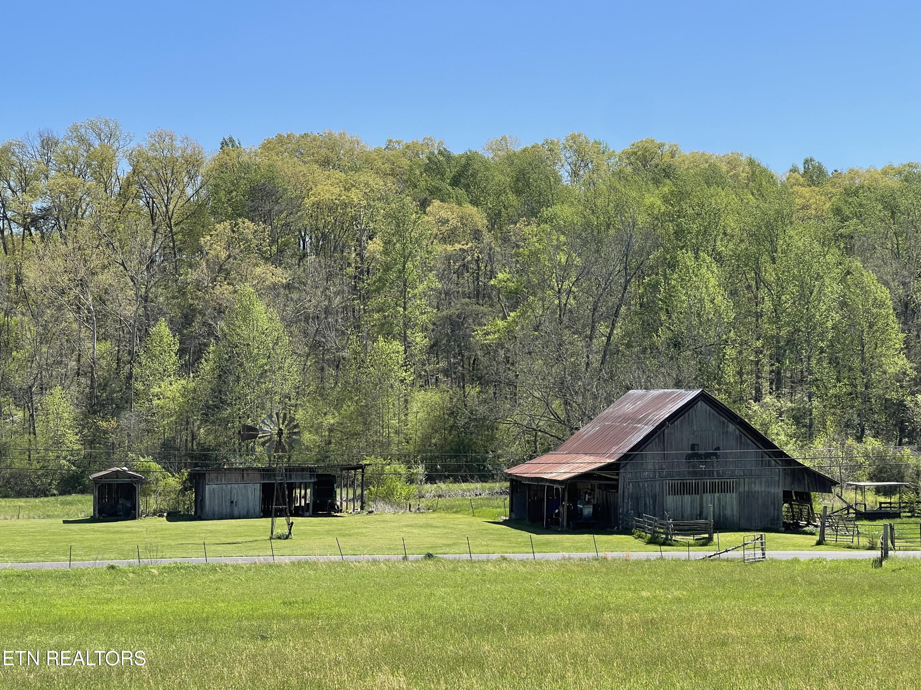 285 New Providence Road Tellico Plains, TN 37385 - Photo 36 of 45 IMG_1189