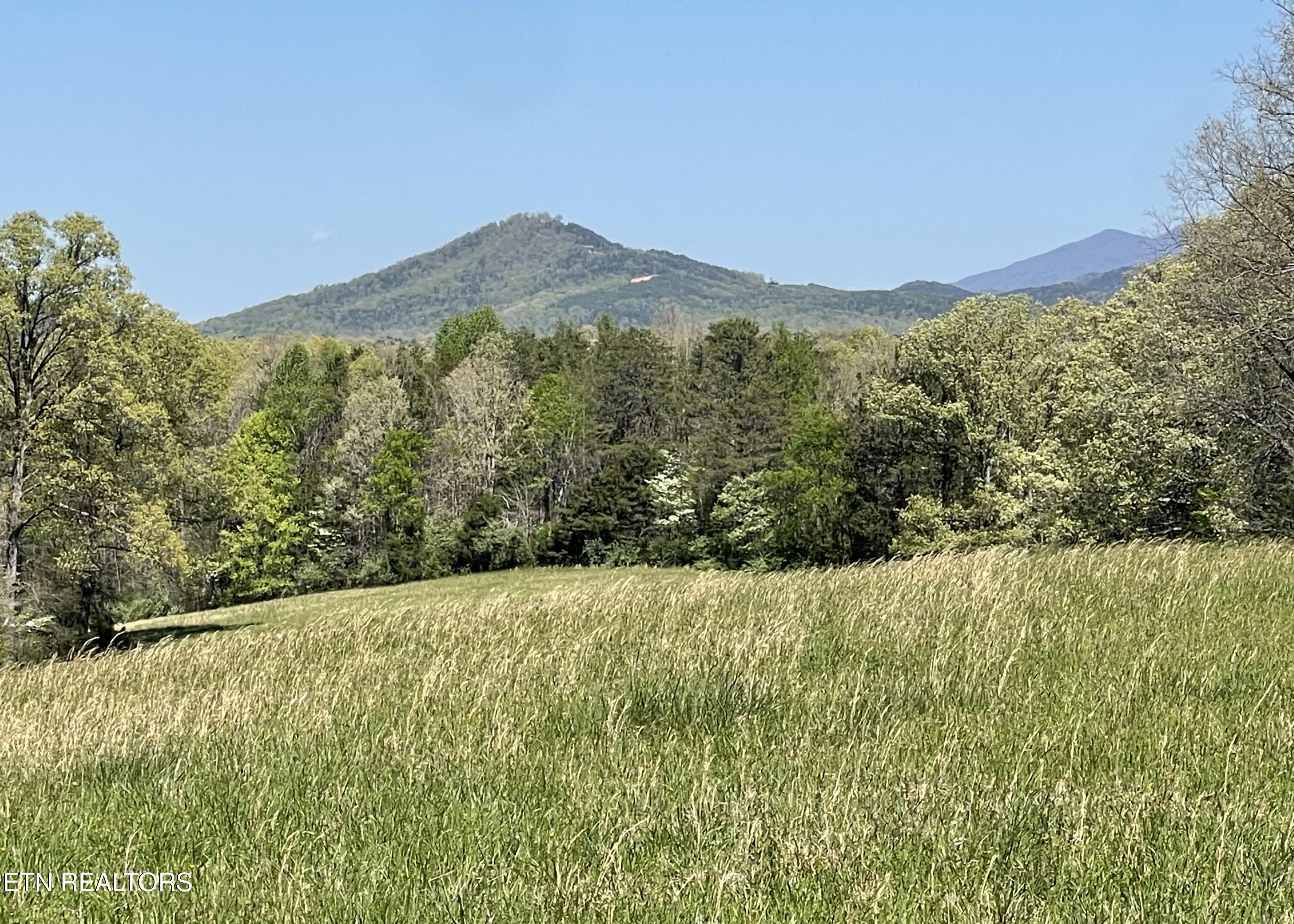 285 New Providence Road Tellico Plains, TN 37385 - Photo 38 of 45 IMG_1170
