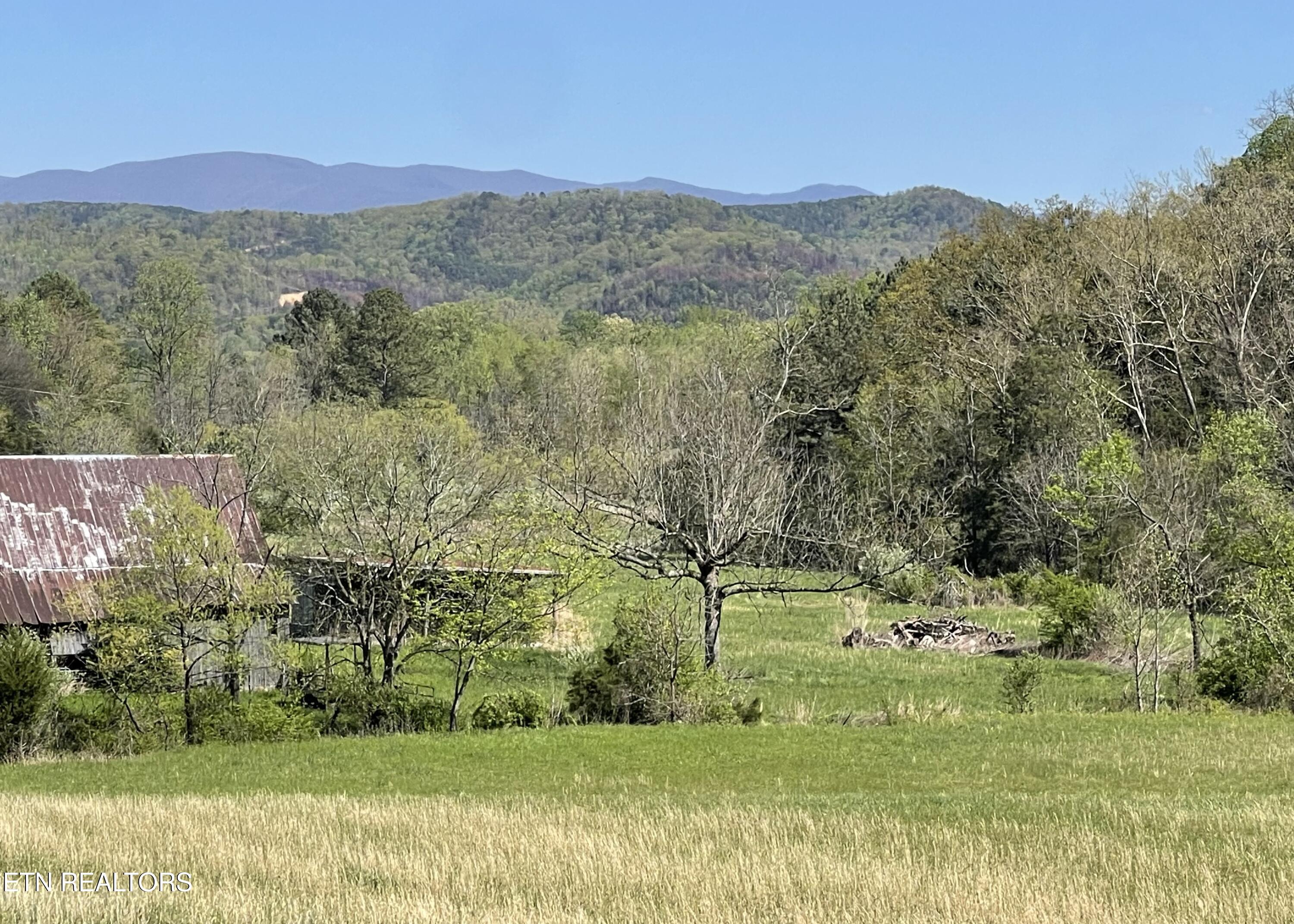 285 New Providence Road Tellico Plains, TN 37385 - Photo 40 of 45 IMG_1157