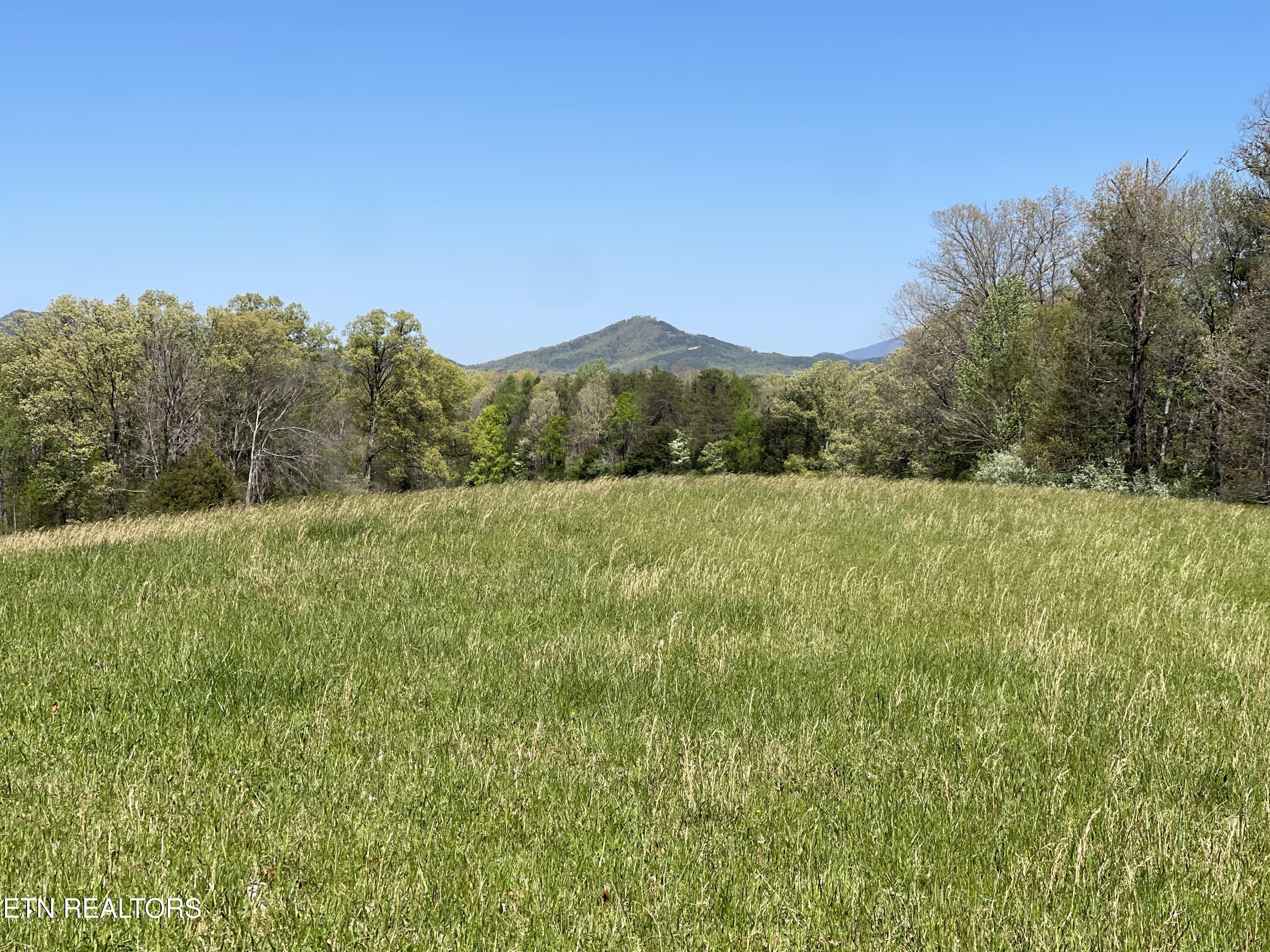 285 New Providence Road Tellico Plains, TN 37385 - Photo 41 of 45 IMG_1160