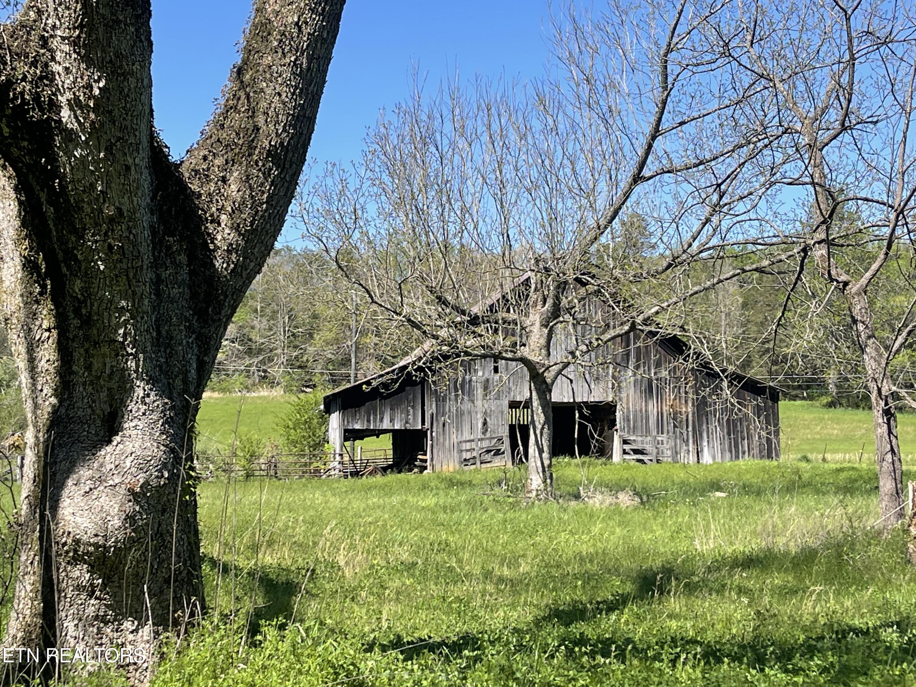 285 New Providence Road Tellico Plains, TN 37385 - Photo 44 of 45 IMG_1135