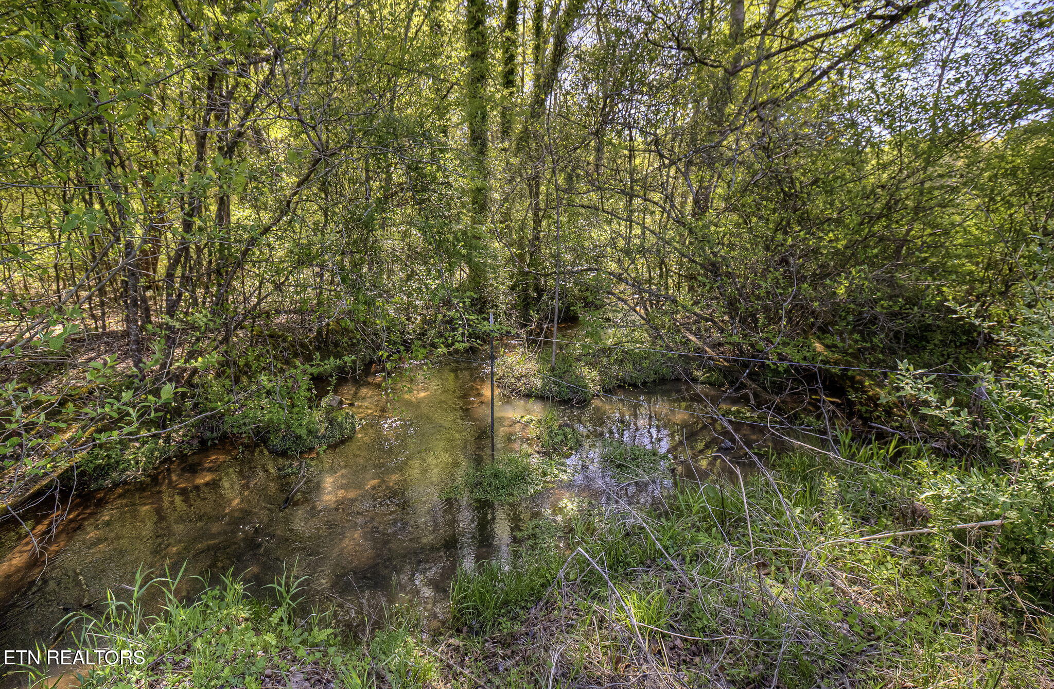 285 New Providence Road Tellico Plains, TN 37385 - Photo 8 of 45 IMG_4557