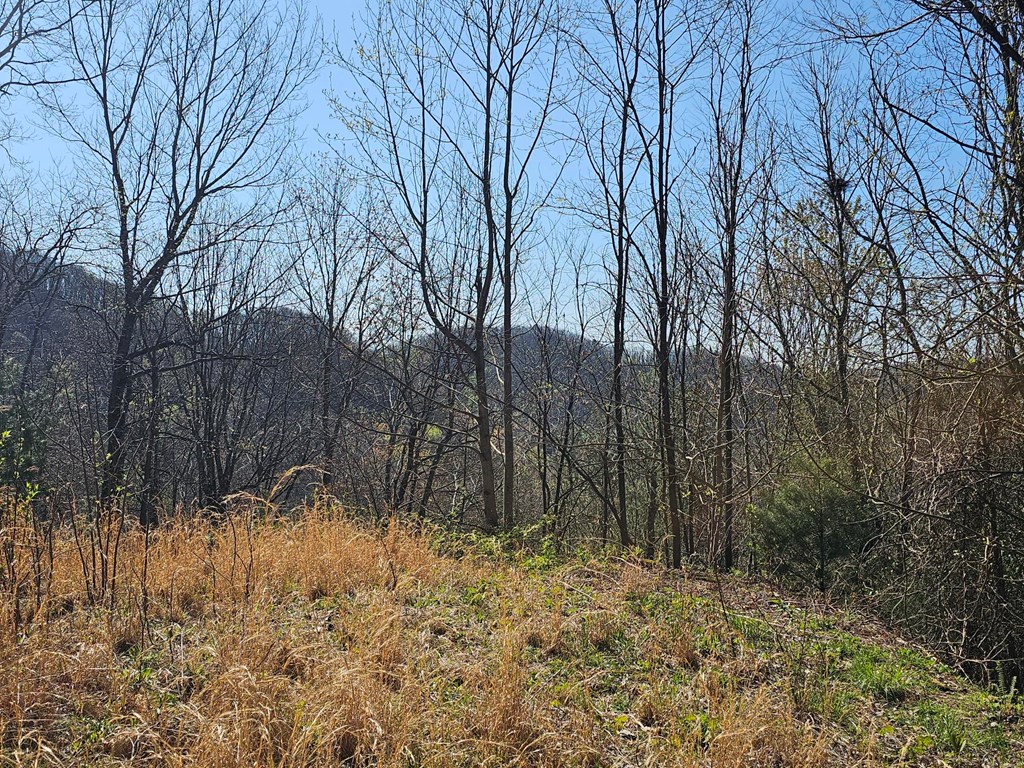 0 Davis Creek Road Murphy, NC 28906 - Photo 4 of 11