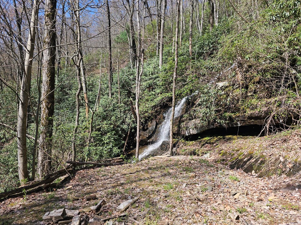 0 Davis Creek Road Murphy, NC 28906 - Photo 8 of 11