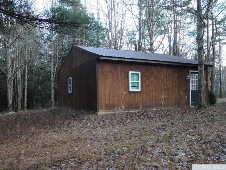 146 Cedar Road Conesville, NY 12076 - Photo 3 of 10 Photo 3