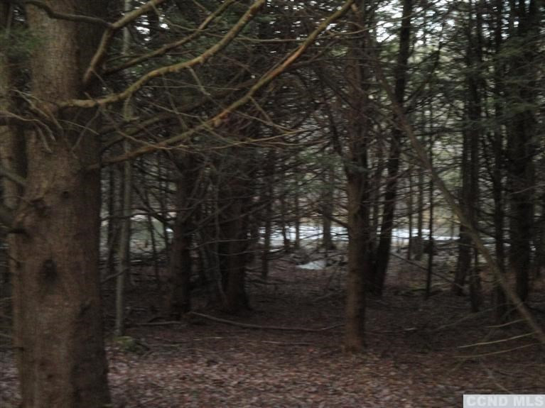 146 Cedar Road Conesville, NY 12076 - Photo 9 of 10 Photo 9