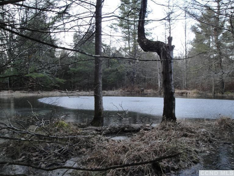 146 Cedar Road Conesville, NY 12076 - Photo 10 of 10 Photo 10