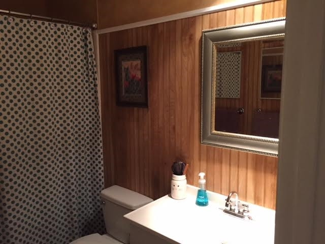 209 Shenandoah Road North Brandon, MS 39047 - Photo 9 of 20 Photo 9
